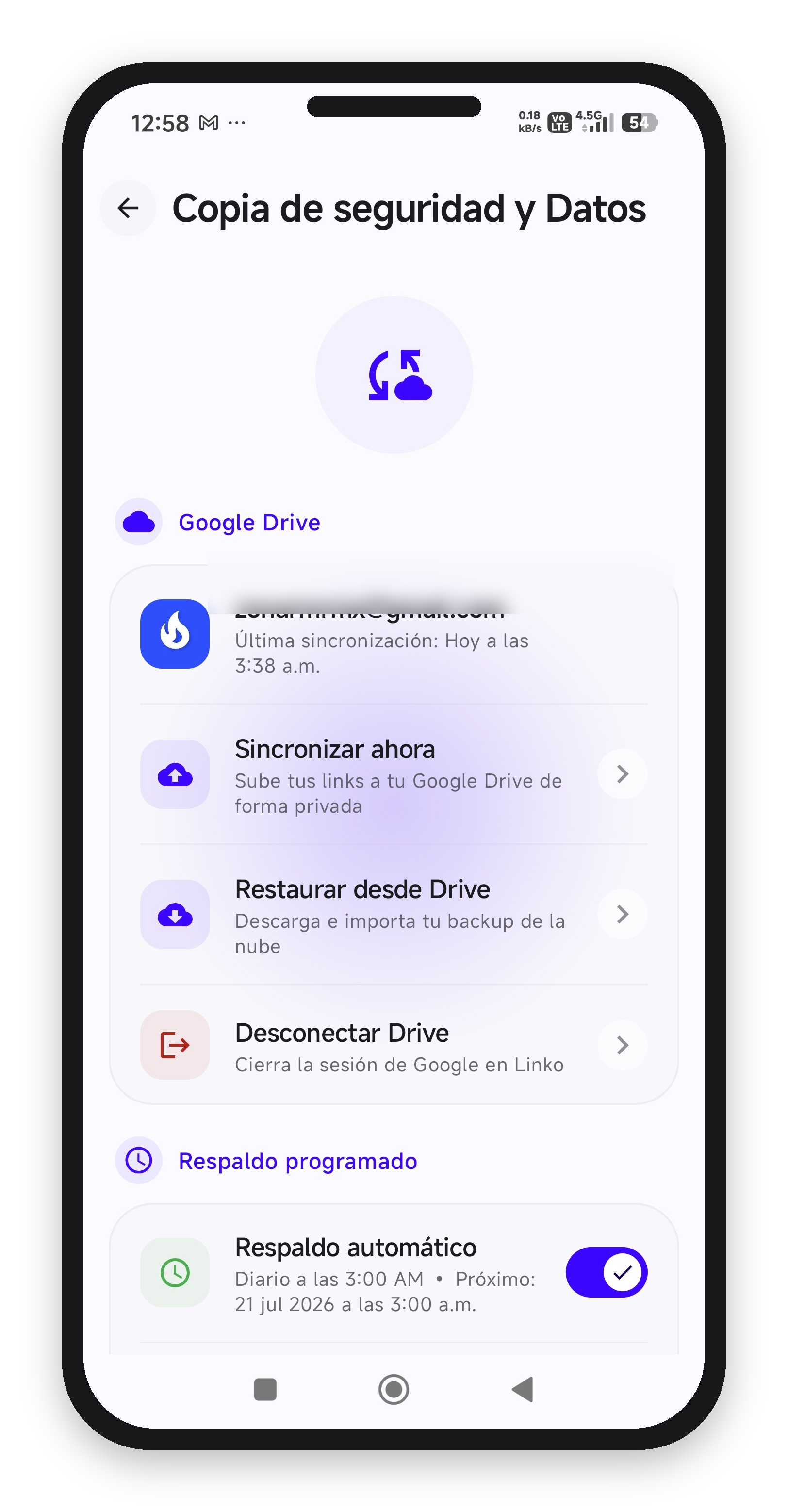 Linko backup screen with optional Google Drive sync and scheduled automatic backups